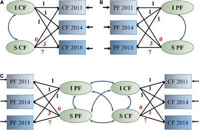 Joint developmental trajectories and temporal precedence of physical function decline and cognitive deterioration: A longitudinal population-based study